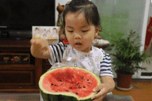 吃瓜群众熊某,吃瓜群众的视角解读娱乐圈风云