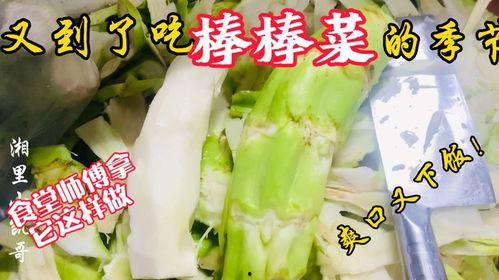 湖州音乐老师吃瓜,湖州音乐老师意外走红，吃瓜瞬间成焦点