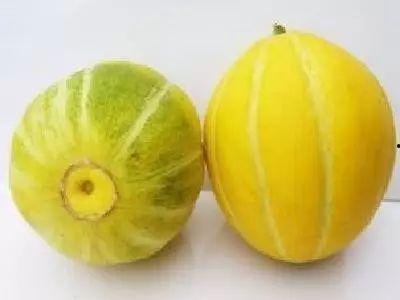 湖州音乐老师吃瓜,湖州音乐老师意外走红,吃瓜瞬间成焦点