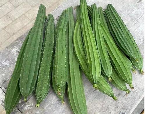 吃绿色瓜,探寻健康美味之旅