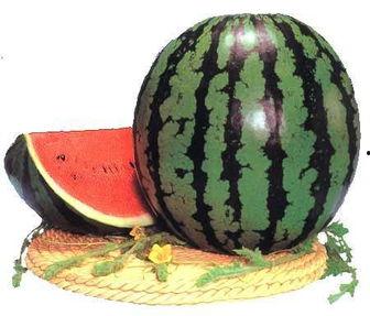 吃瓜吃多的坏处,揭秘网络信息过载的负面影响