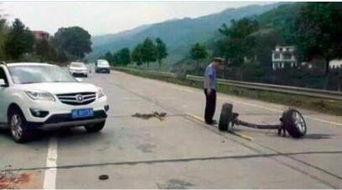 不明事理吃瓜群众,揭秘“不明事理”吃瓜群众的背后真相