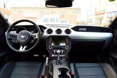 野马吃瓜,揭秘动物界的趣味食趣