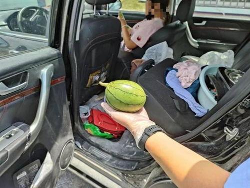 高速喂司机吃瓜,一场别开生面的交通安全宣传