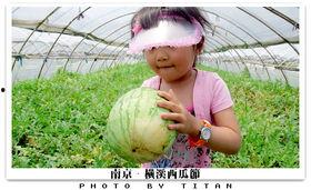 吃瓜天使,网络红人的崛起与影响力