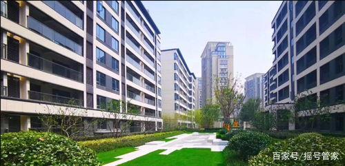 佛山楼盘吃瓜,揭秘吃瓜群众的购房真相